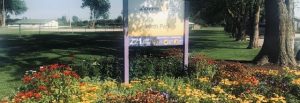 Read more about the article North Park Pollinator garden in bloom