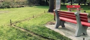 Read more about the article Pollinator Site Preparation
