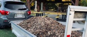 Read more about the article Mulch placed around trees in Lions South Park
